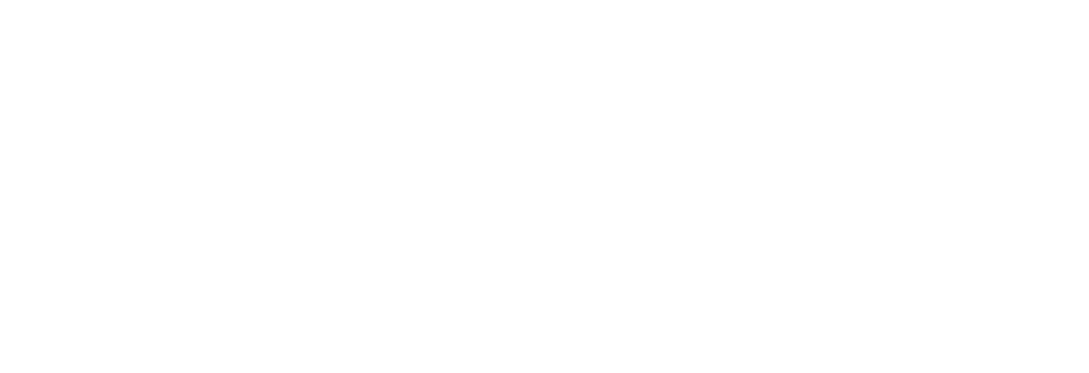 FlowLeap